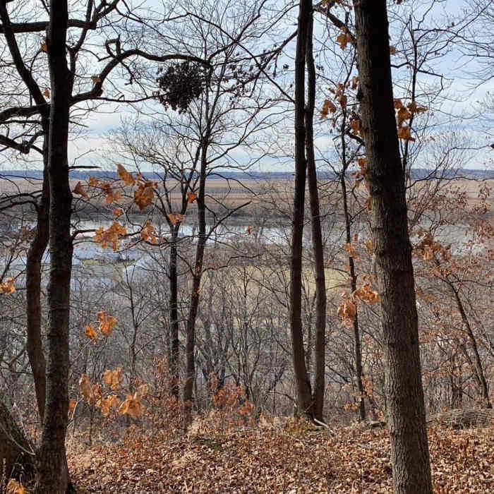 Near Sunbridge Hills Conservation Area
