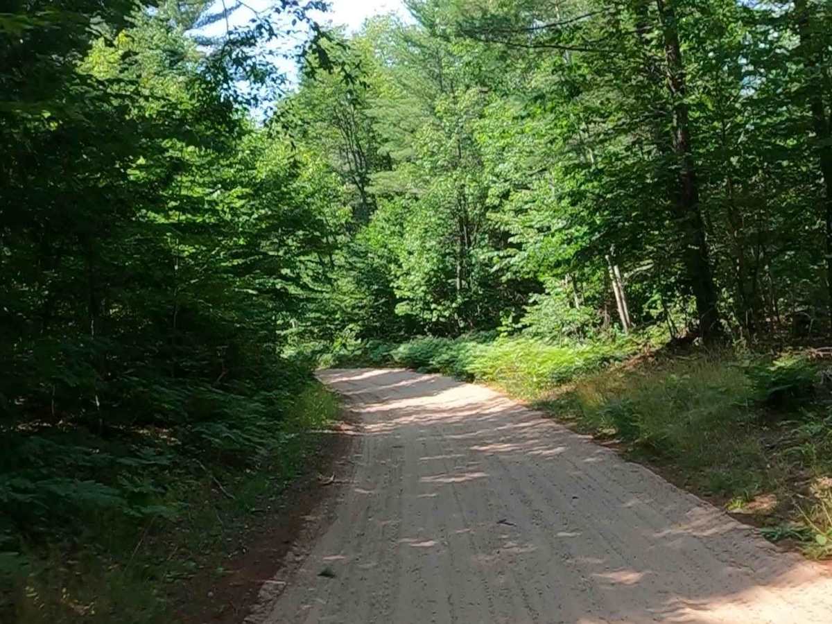 Camp Truck Trail/ Tower Road photo 5