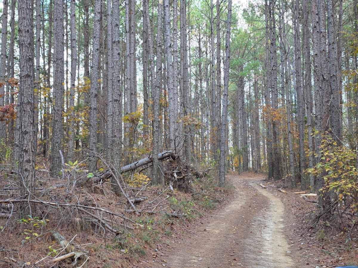 High Point Hill photo 5