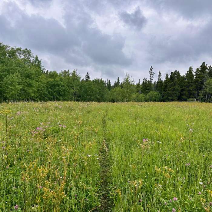 Near Continental Divide Trail: Montana-Idaho Section 27