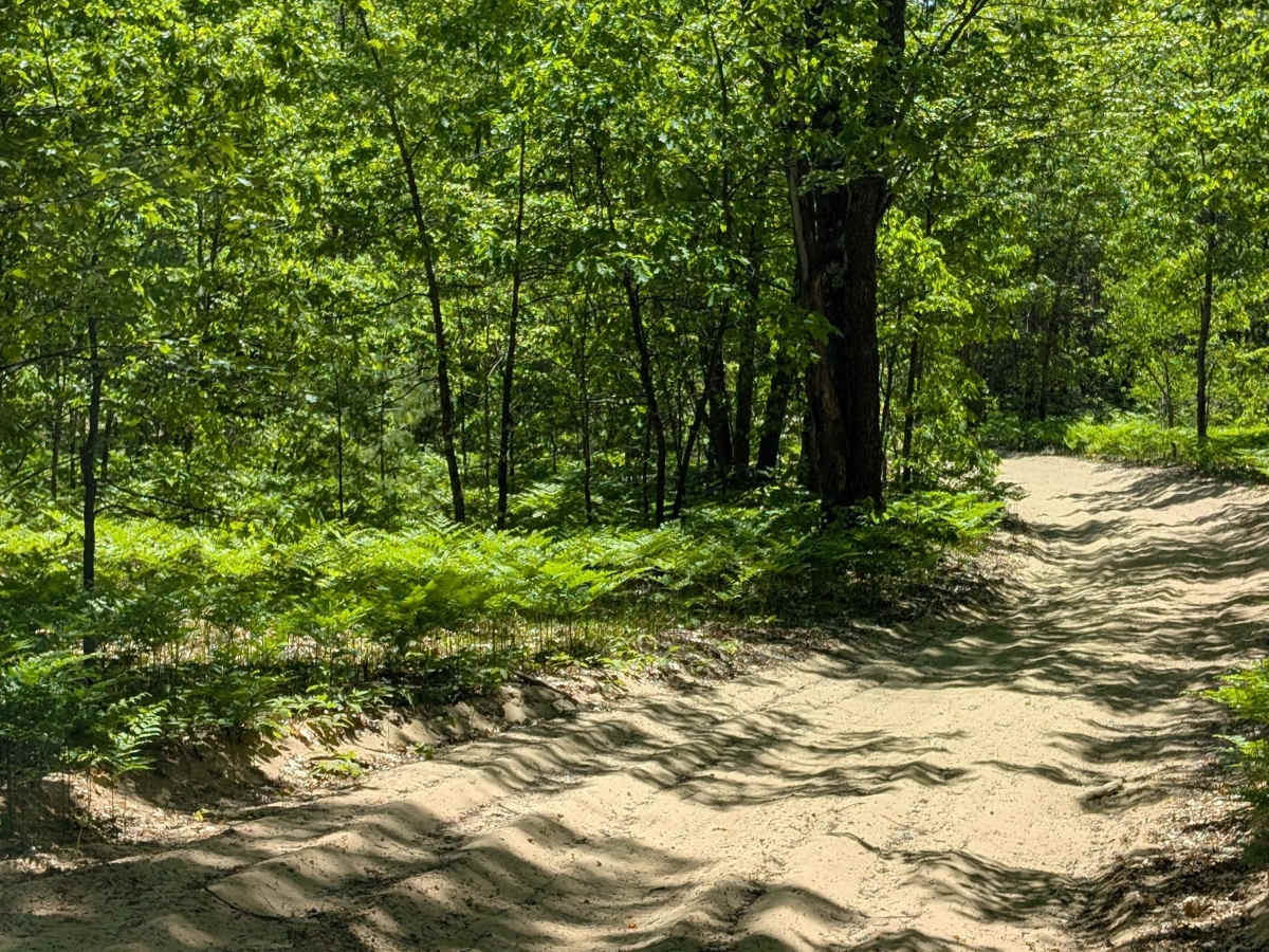 Dyer Lake Trail photo 4