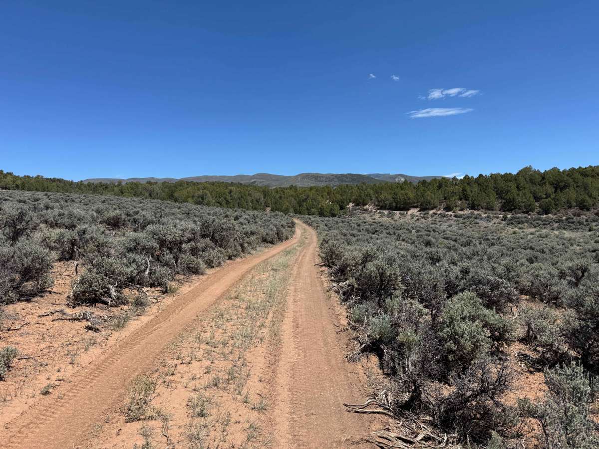 BLM 8474 photo 6