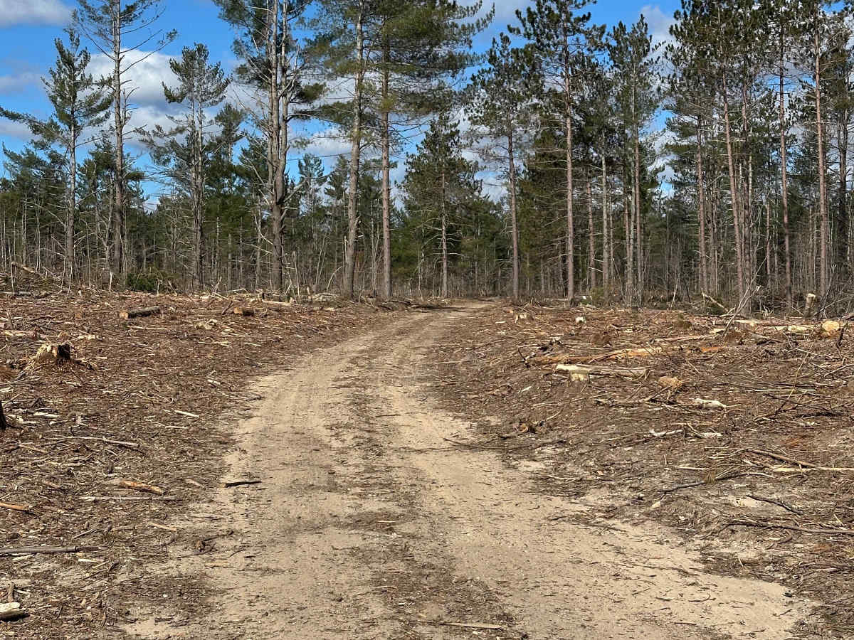 Milbocker Road  photo 4