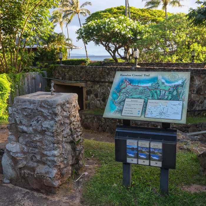Near Kapalua Coastal Trail Near Kapalua Coastal Trail