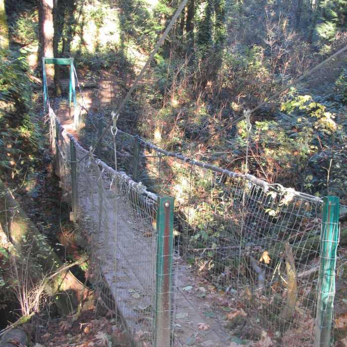 Near Tryon Creek Loop