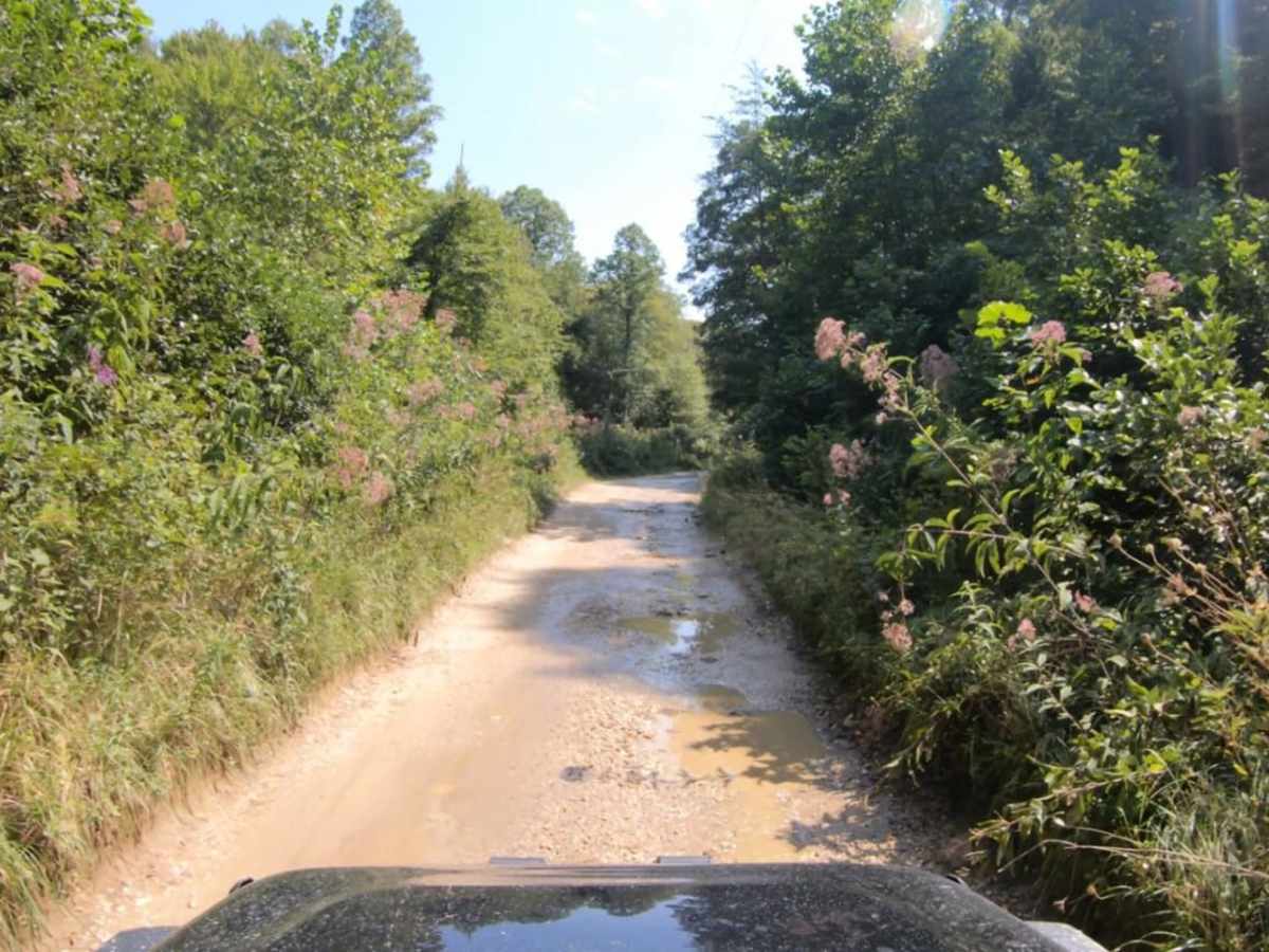 Bald Rock Fork Rd photo 5