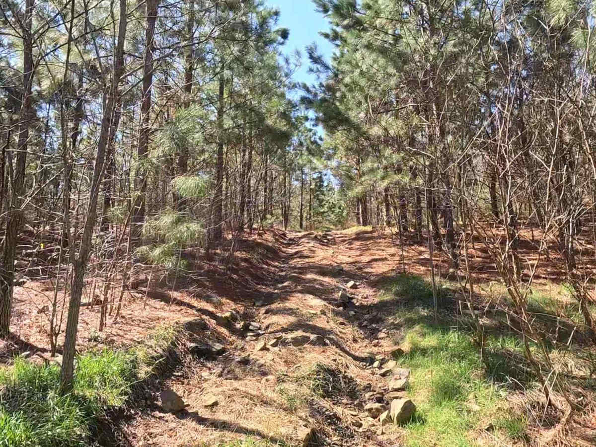 W15 trail photo