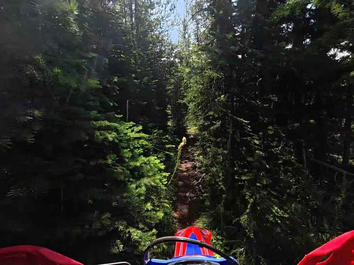 Cross Country East - FS 510 photo 6
