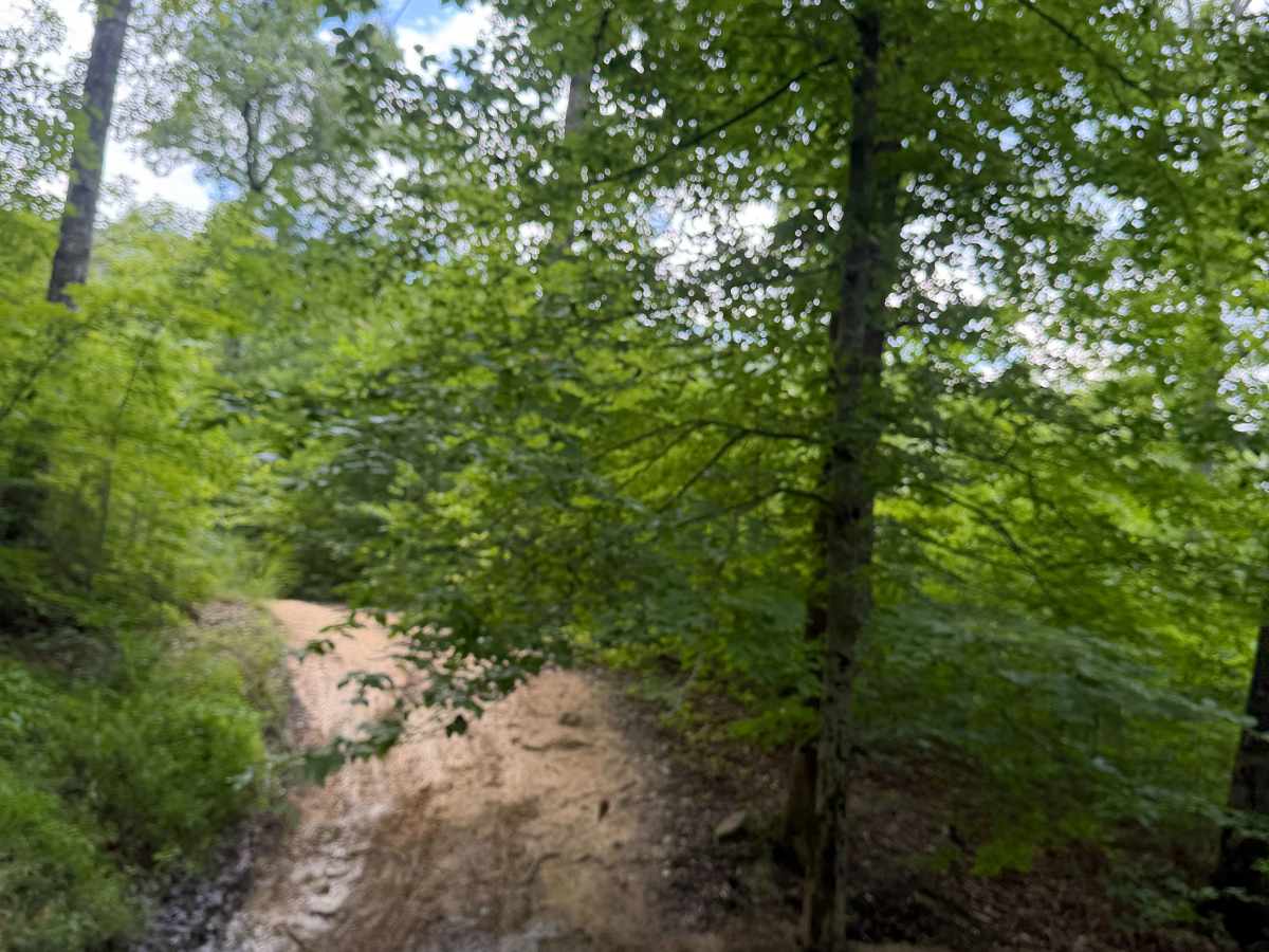 43 trail photo