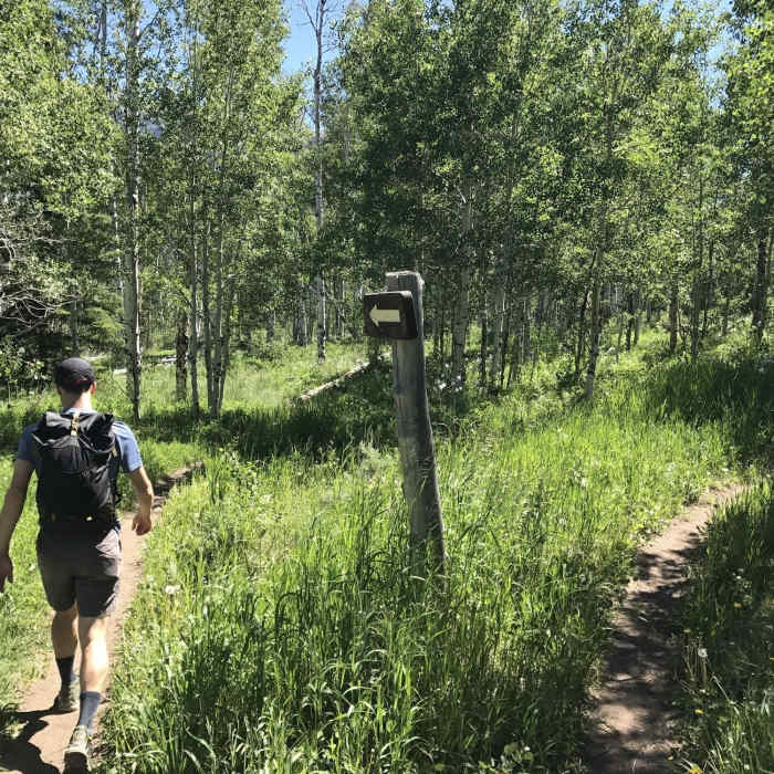 Near Acorn Creek Loop Route