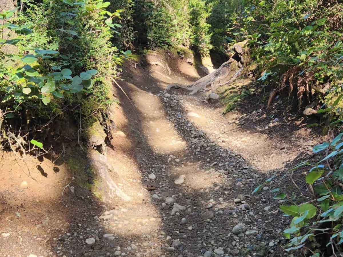 Overland Trail East photo 6