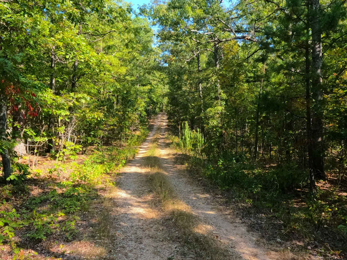 Beasley Hollow - FS 2594 photo 6