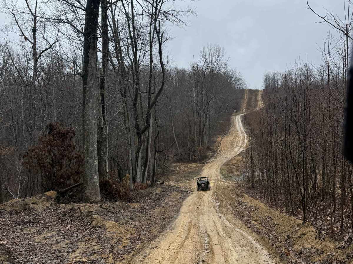 Q6 trail photo