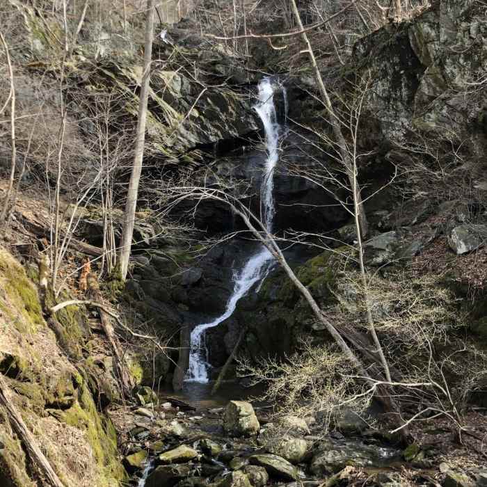 Near Upper Doyles Falls