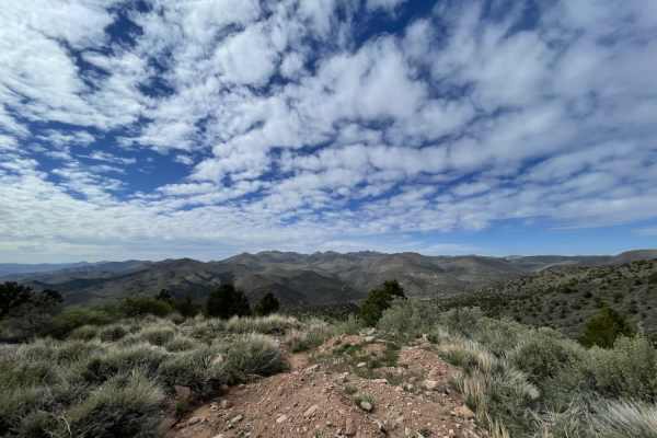 Bull Canyon