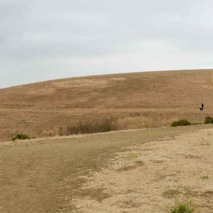 Near Carquinez Overlook Loop