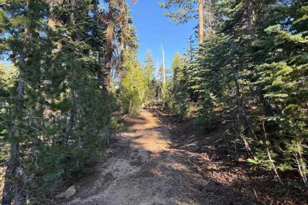 Blue Basin Road - FS 31096