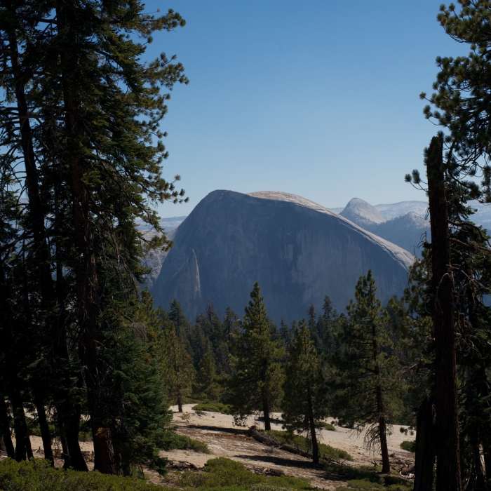 Near Indian Rock Trail