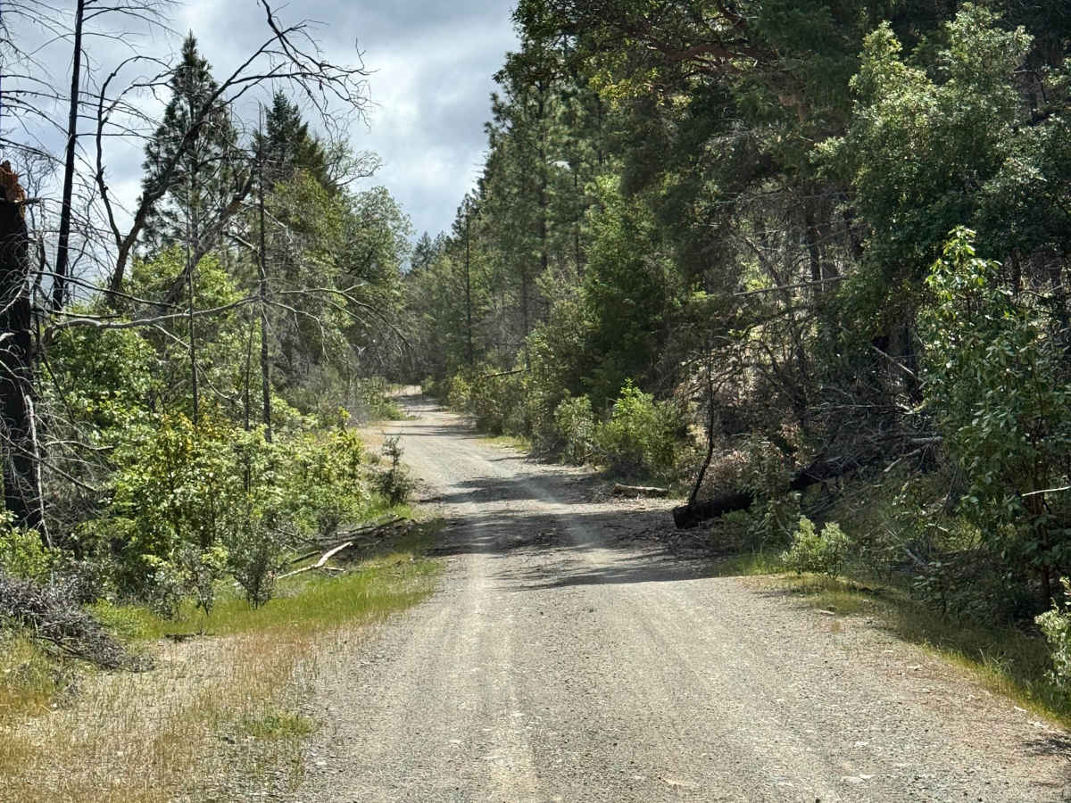 Packsaddle - FS 18N25 photo 2