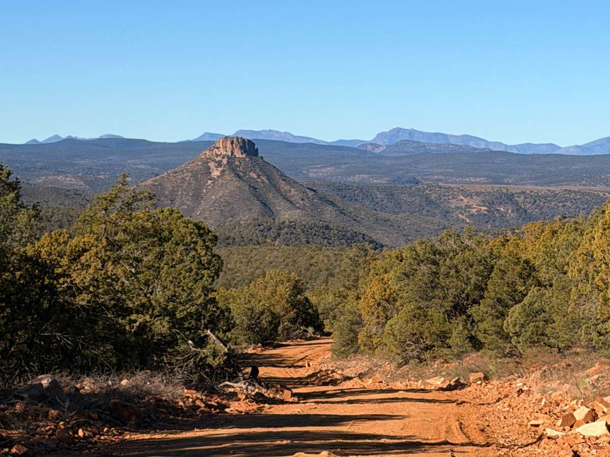 Buzzard Roost - FS 486 trail photo