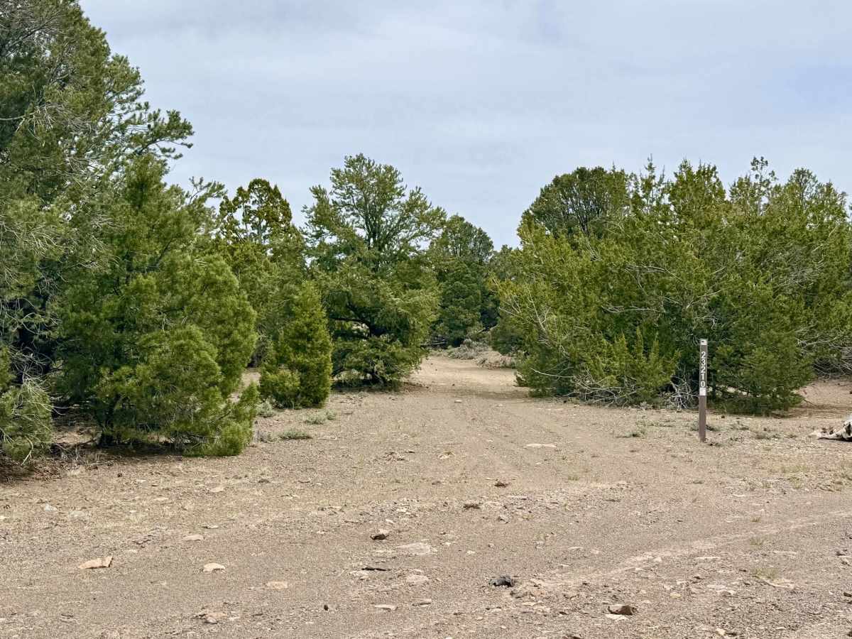 Deer Spring Trail - FS 23201 photo 4