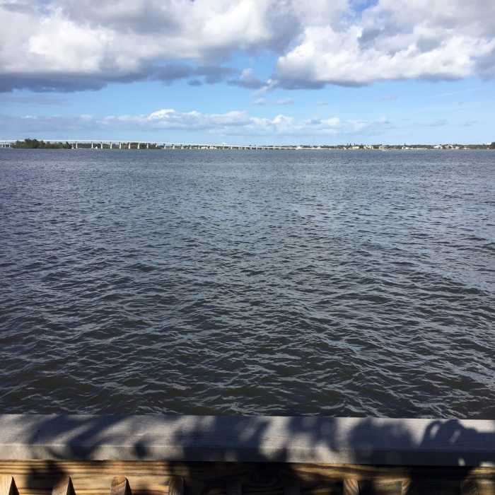 Near Lagoon Greenway Trail
