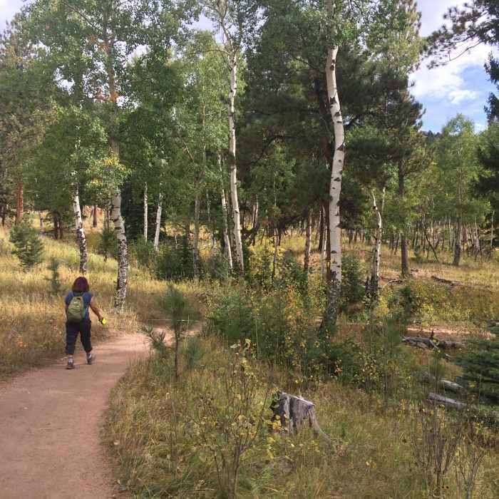 Near Staunton East Side Loop