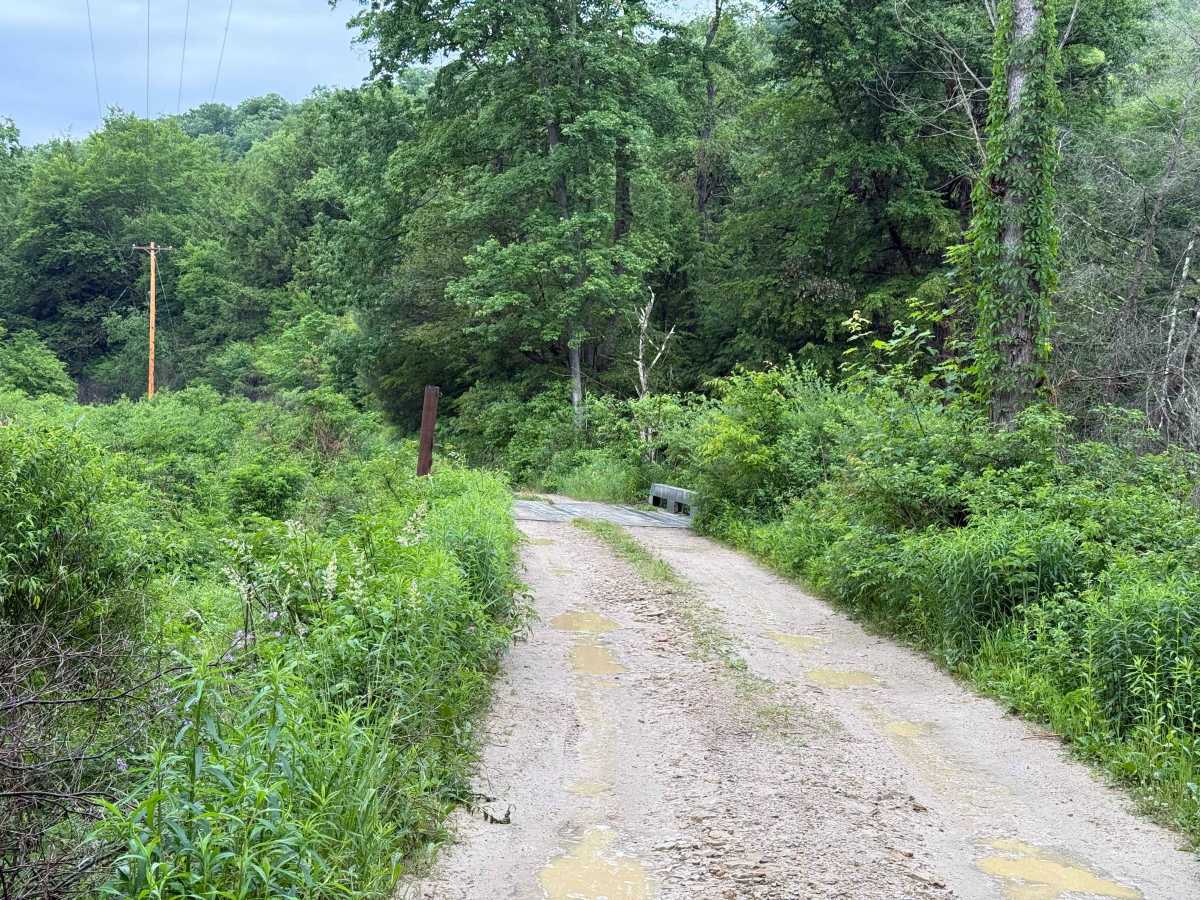 Cherry Run B - FS 148B photo 3