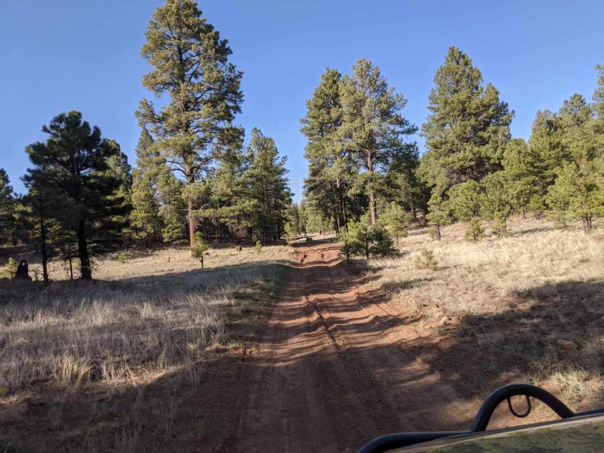 00296 Road photo 4