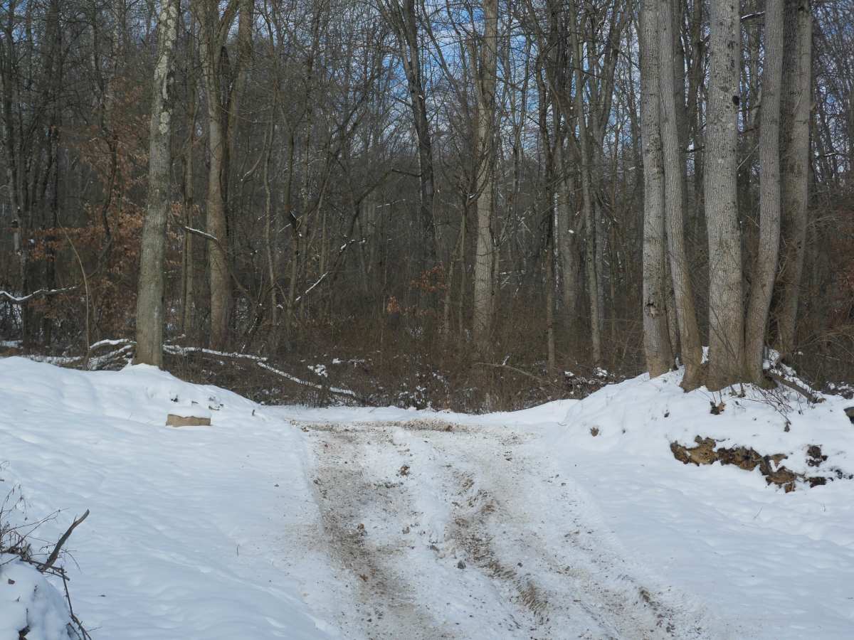 Trail 23 photo 3