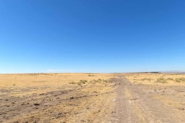 Morcom Road