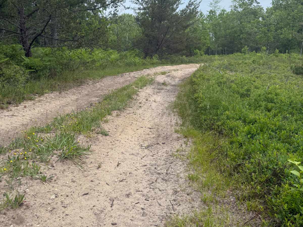 Smith Lake Trail photo 5