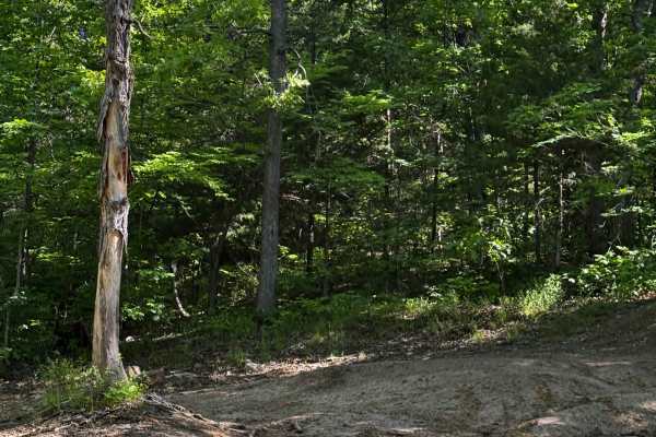 Inner Trail 18