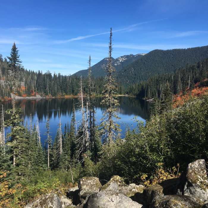 Near Pratt Lake Trail #1007