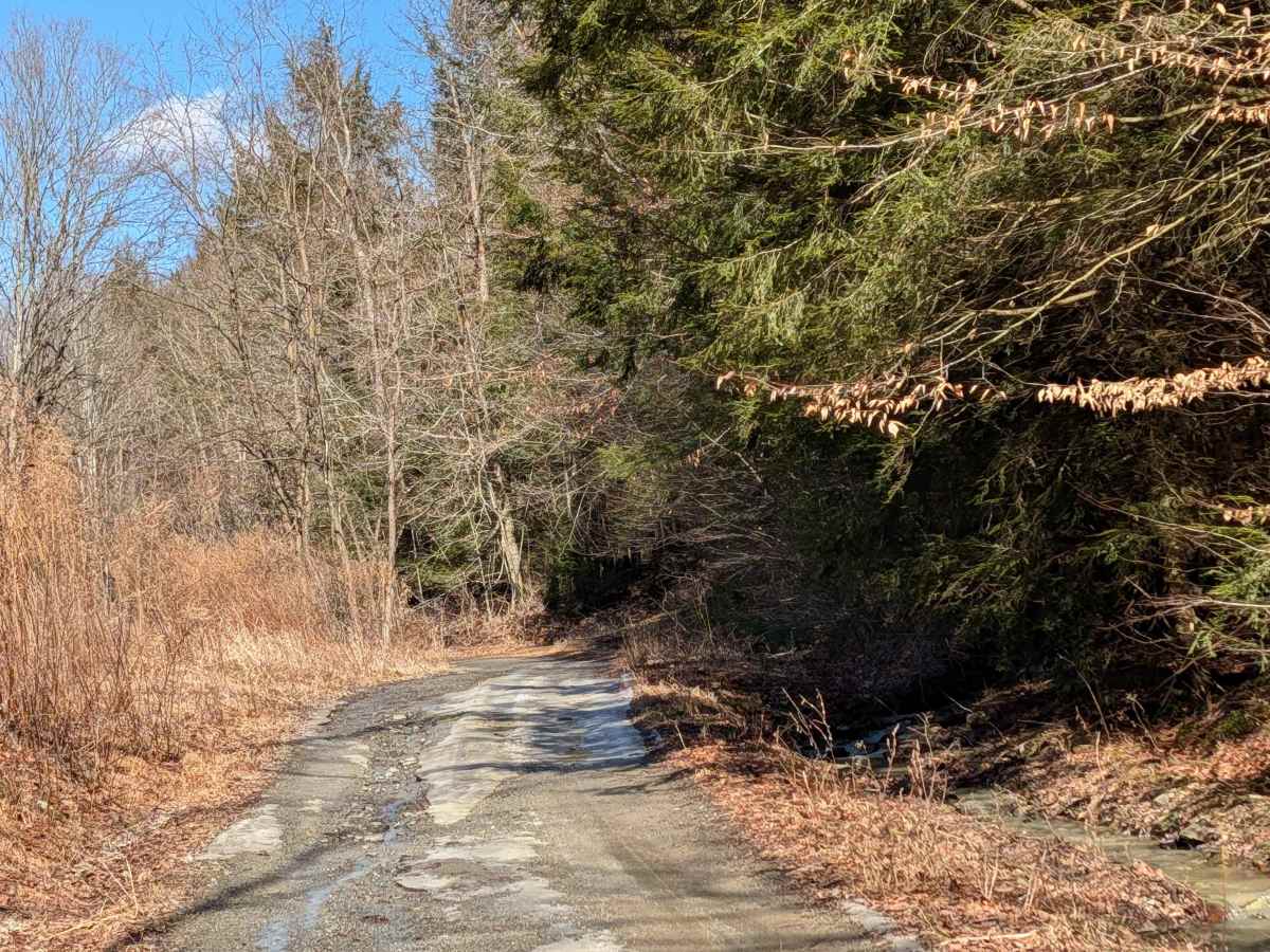 Stone Jug Road photo 4