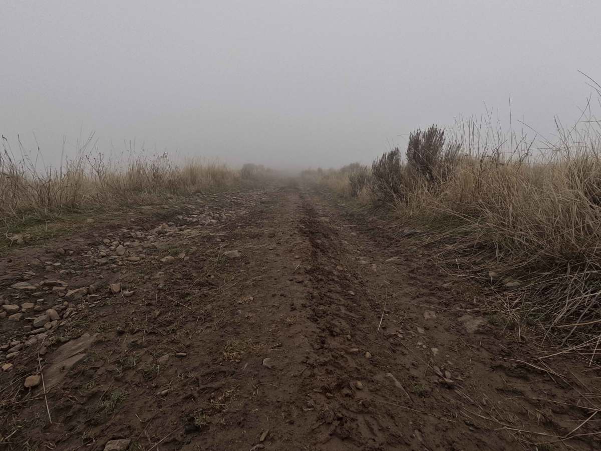 Road 14.14 photo 2