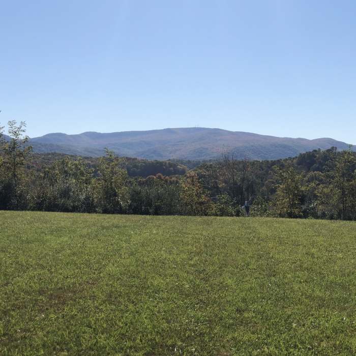 Near The Bowl