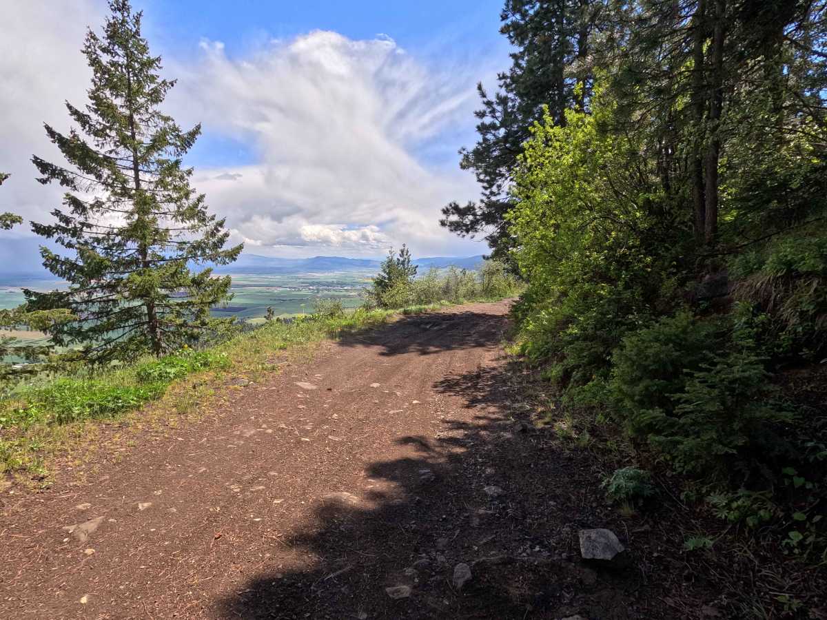 Mount Emily Road - FS 3120520 photo 2