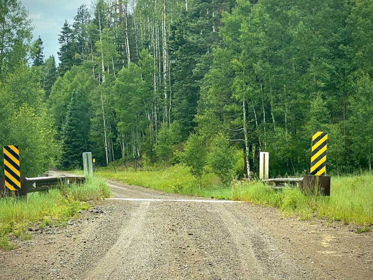 Poison Park Rd #644 photo 4