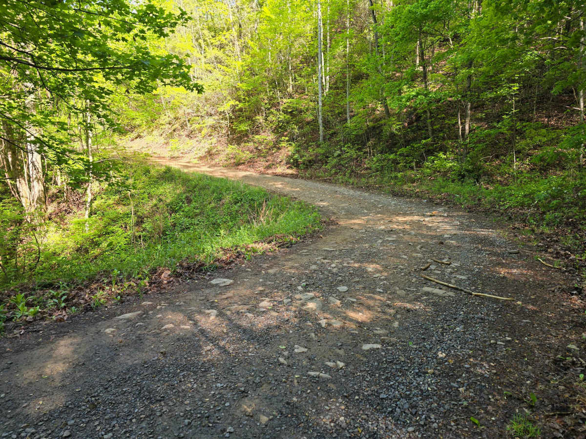 Webb Mill Road photo 4