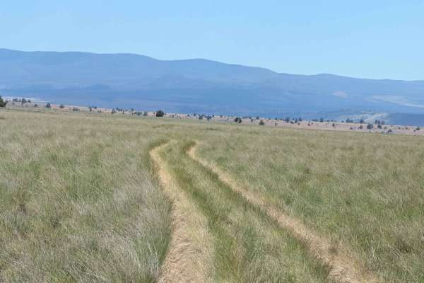 Sheep Camp Butte - FS 47N18