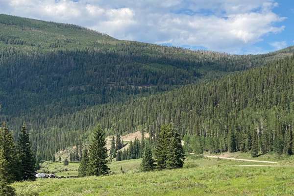 Park Creek Road-FR 380