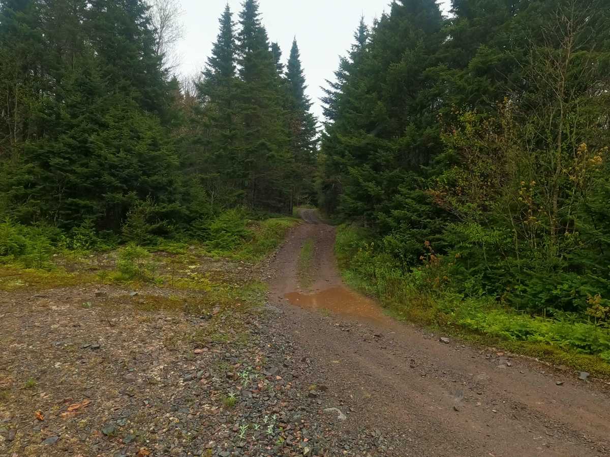 Farm Lake Trail trail photo