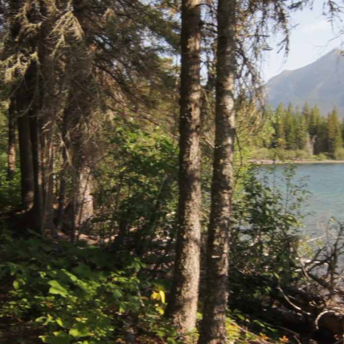 Near CDT: Goat Haunt to Waterton Townsite (MT Sec. 30C - Lakeshore Trail)
