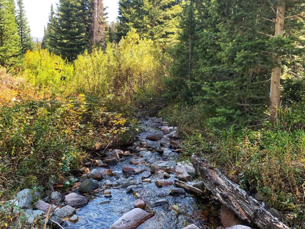 Boulder Creek Left Trail photo 3