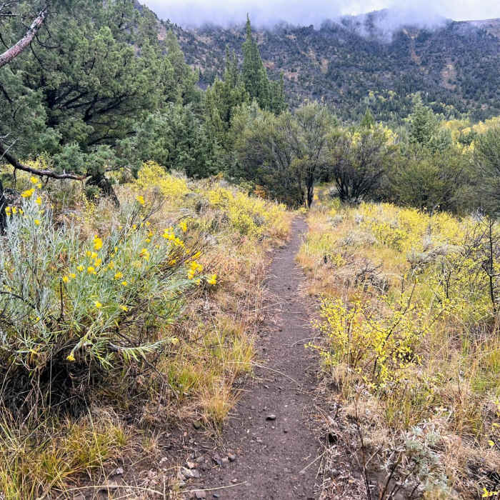 Near Steens Campground to Steens Mountain Near Steens Campground to Steens Mountain