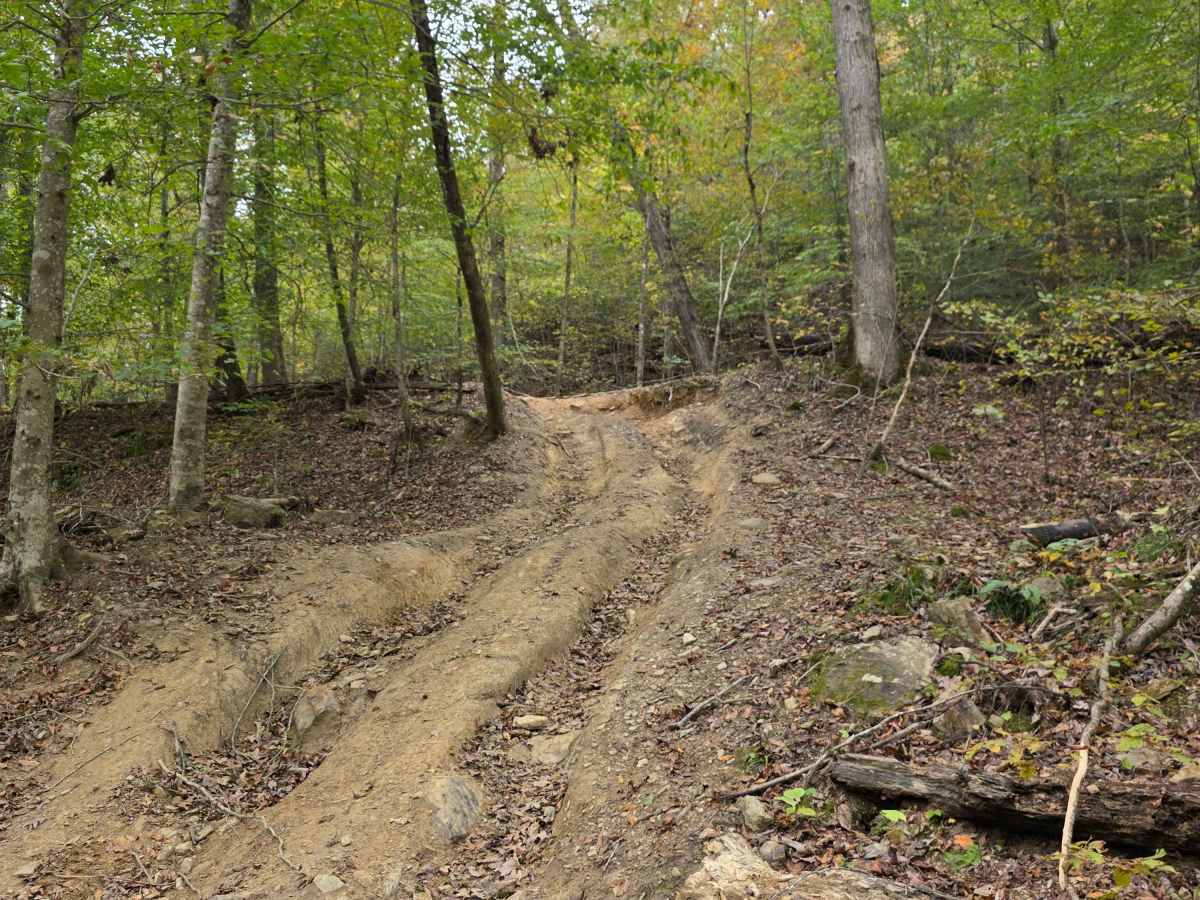 Pounder's Place photo 6