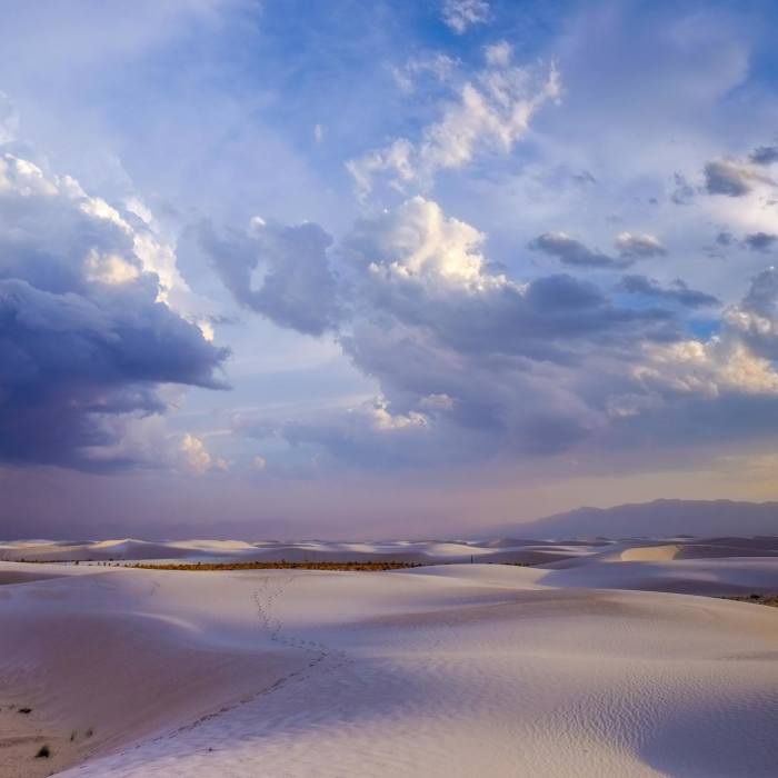 White Sands National Monument, New Mexico Near Alkali Flat Trail