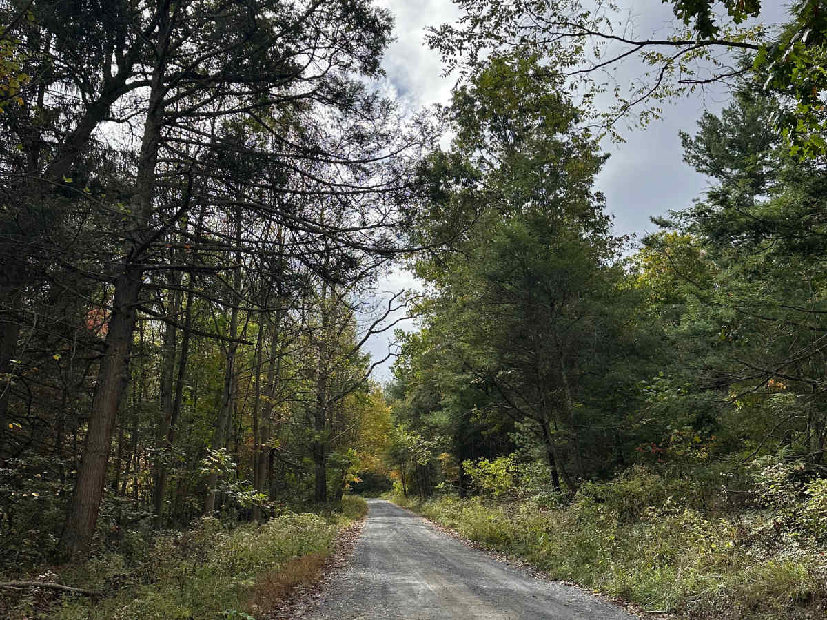 Staley Road photo 4