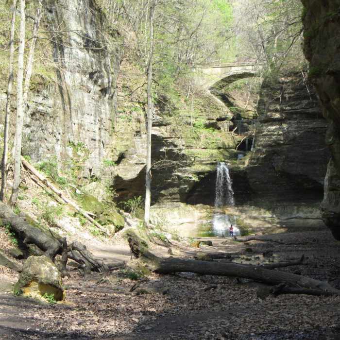 View from the lower dell at Matthiessen State Park. Near Matthiessen State Park Loop